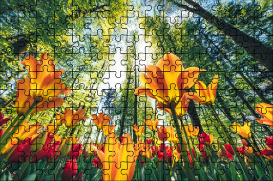 Spring Forest - Puzzle